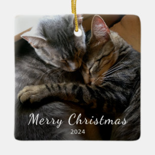Cute Cats Photo Modern Christmas Ceramic Ornament