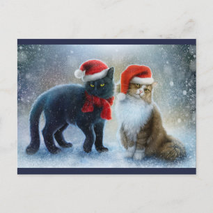 Cute Cats Postcard