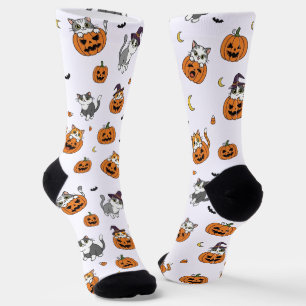 Cute Cats & Pumpkins Halloween Socks