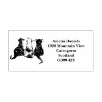 Cute Cats Return Address