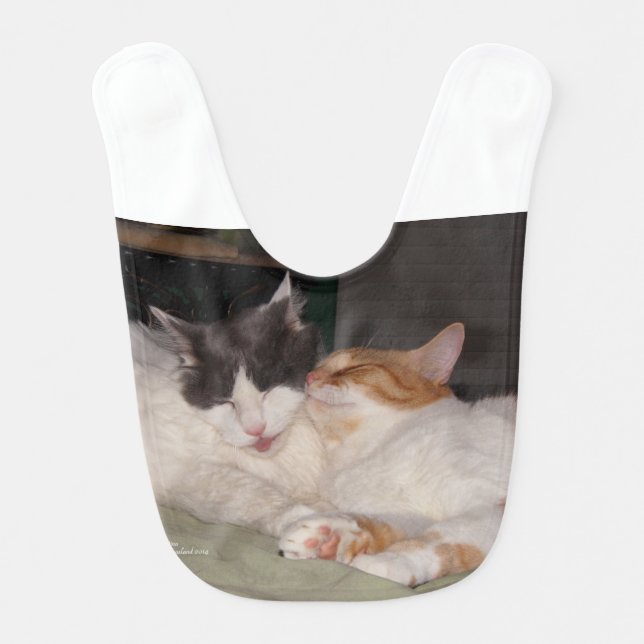 Cute Cats sleeping Baby Bib (Front)