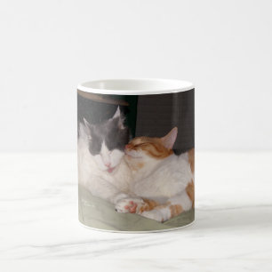 Cute Cats Sleeping Cats Rule Mug