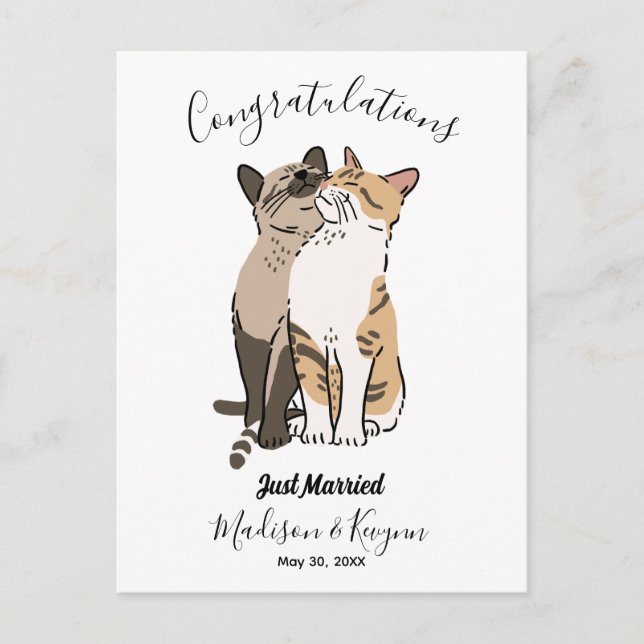 Cute cats wedding  postcard (Front)
