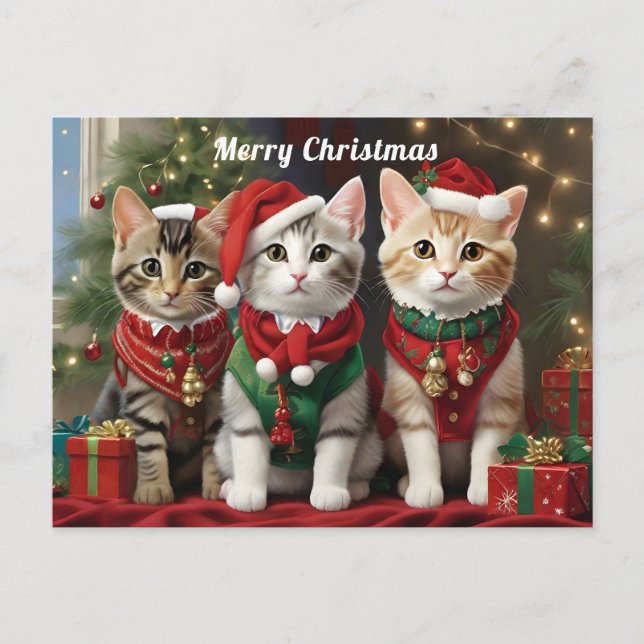 Cute Cats with Santa Hats Whimsical  Postcard (Front)