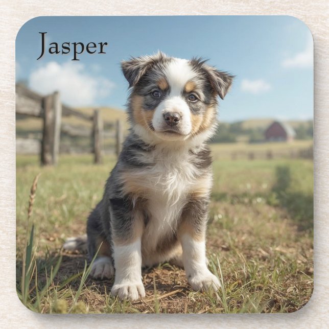 Cute Cattle Dog Personalized Beverage Coaster Set (Front)