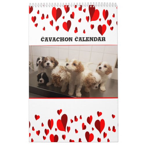 Cute Cavachon Dog Calendar