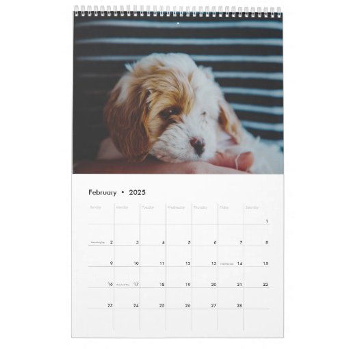 Cute Cavachon Dog Calendar Zazzle