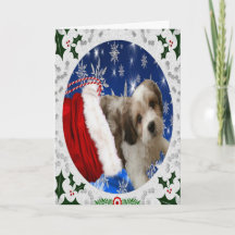 Cute Cavachon Greeting Card, Christmas Dog