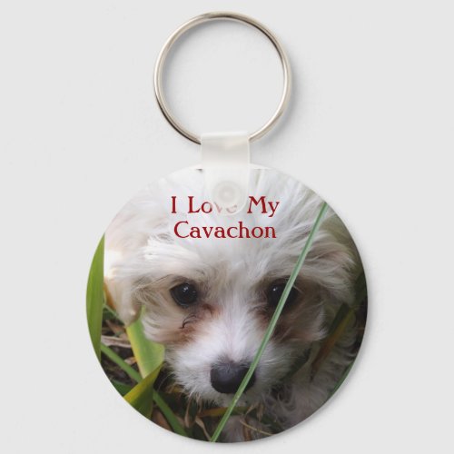 Cute Cavachon Puppy Keychain