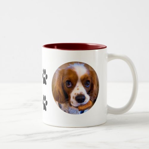 Cute Cavalier King Charles Spaniel Coffee Mug