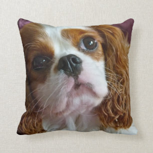 Cute Cavalier King Charles Spaniel cushion pillow