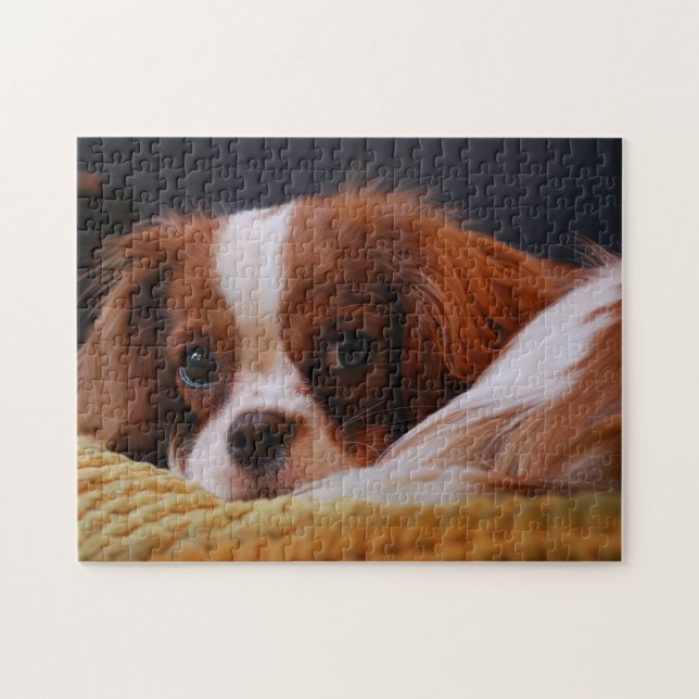 Cute Cavalier King Charles Spaniel Jigsaw Puzzle (Horizontal)