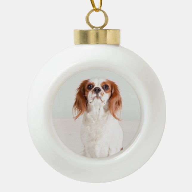 Cute Cavalier King Charles Spaniel Ornament (Front)