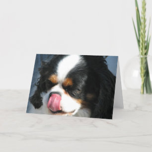 Cute Cavalier Spanial Dog Greeting Card