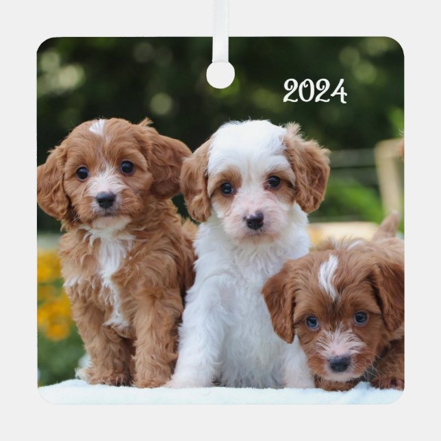 Cute Cavapoo Puppy Dogs Metal Ornament (Front)