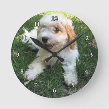 Cute Cavapoo Puppy Round Clock by Trendi_Stuff at Zazzle