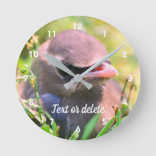 Cute Cedar Waxwing Fledgling Bird Personalized Round Clock