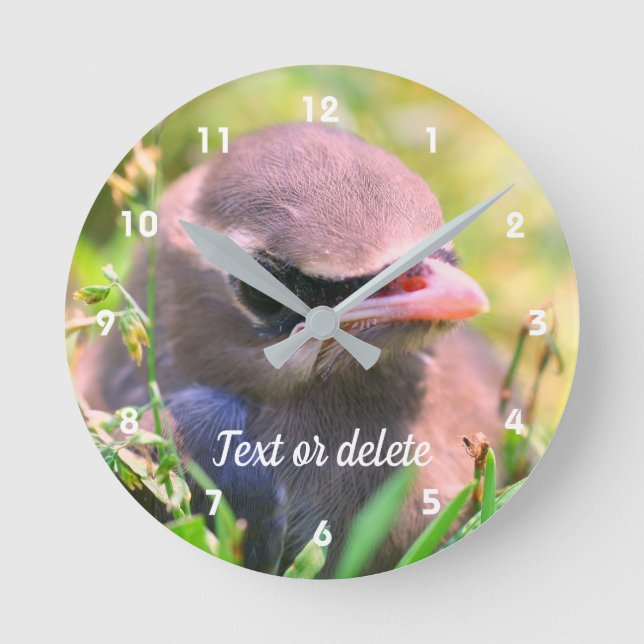Cute Cedar Waxwing Fledgling Bird Personalized Round Clock (Front)