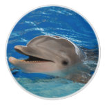 Cute Chattering Dolphin Ceramic Knob
