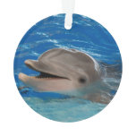 Cute Chattering Dolphin Ornament