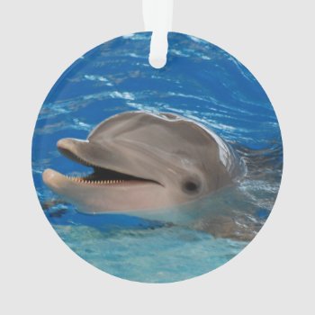 Cute Chattering Dolphin Ornament by WildlifeAnimals at Zazzle