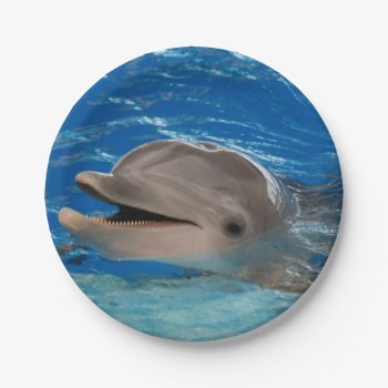 Cute Chattering Dolphin Paper Plates by WildlifeAnimals at Zazzle