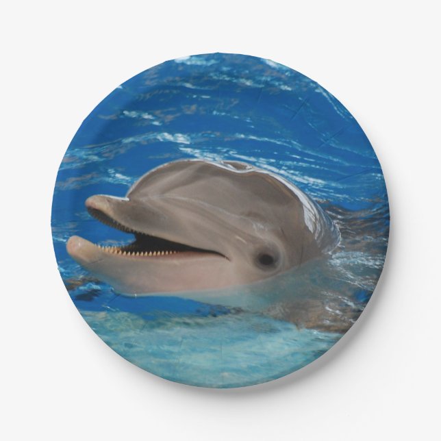 Cute Chattering Dolphin Paper Plates (Front)