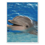 Cute Chattering Dolphin Temporary Tattoos
