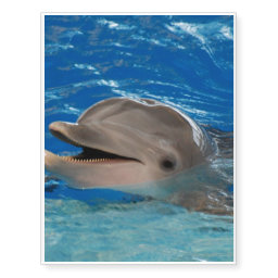 Cute Chattering Dolphin Temporary Tattoos
