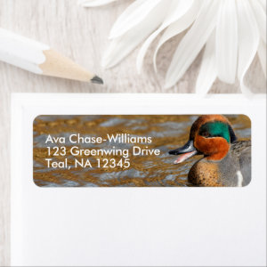 Cute Chatty Green-Winged Teal Duck at the Pond Label