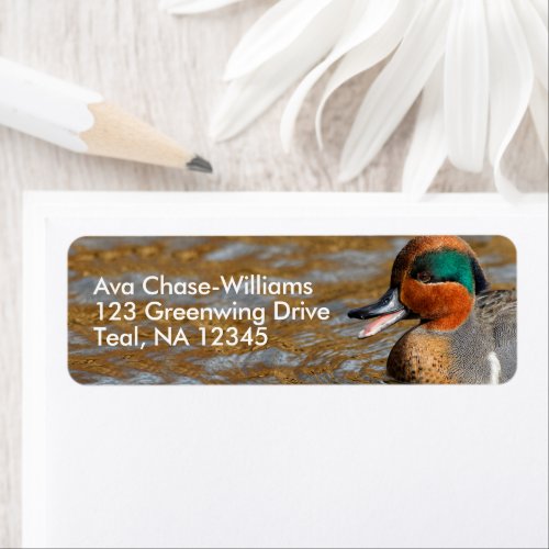 Cute Chatty Green_Winged Teal Duck at the Pond Label