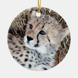 Cute Cheetah Cub Photo Ceramic Ornament