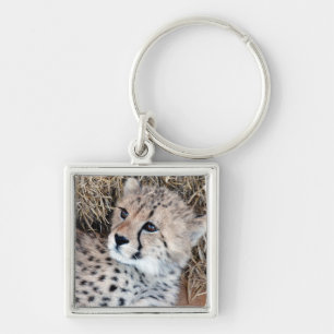 Cute Cheetah Cub Photo Keychain