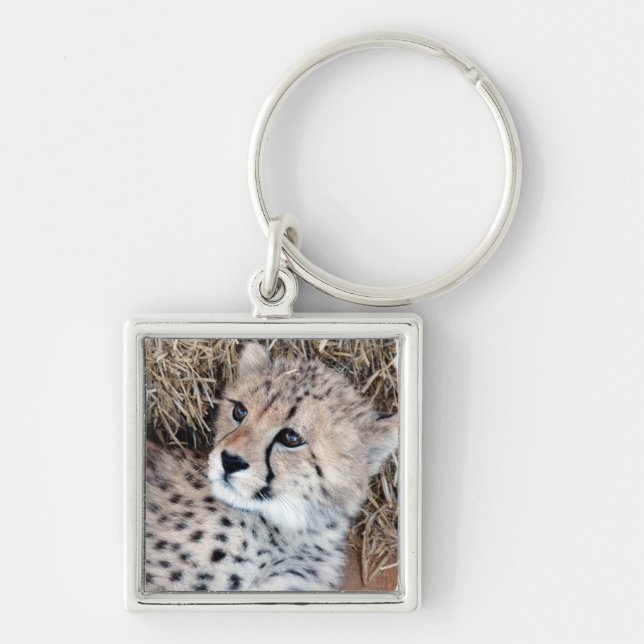 Cute Cheetah Cub Photo Keychain (Front)