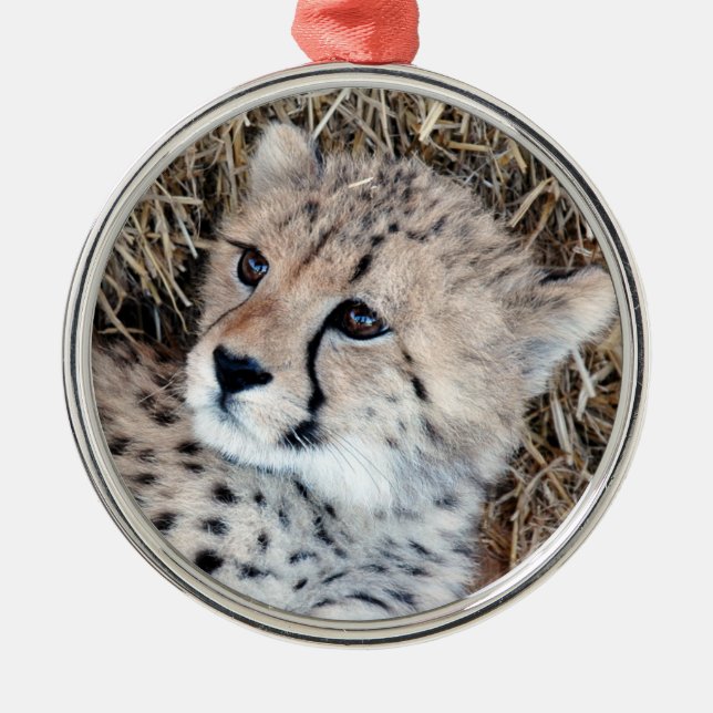 Cute Cheetah Cub Photo Metal Ornament (Front)