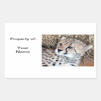 Cute Cheetah Cub Photo Name Label /