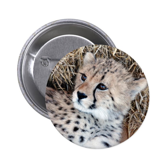 Cute Cheetah Cub Photo Pinback Button