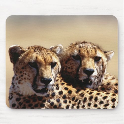 Cute Cheetah Pair Mouse Pad