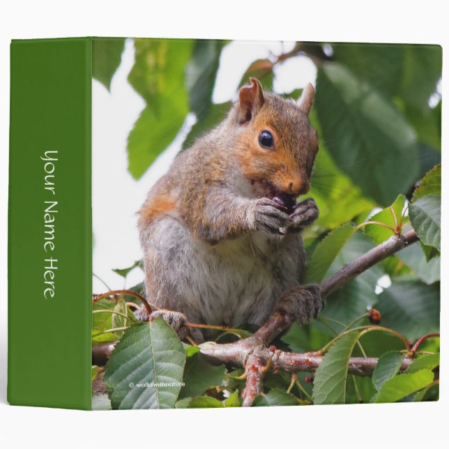 Cute Cherry Picking Eastern Grey Squirrel 3 Ring Binder (Front/Spine)