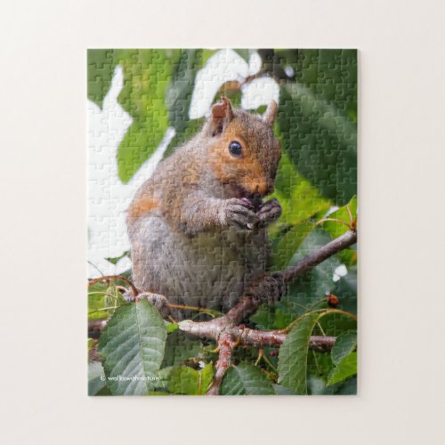 Cute Cherry Picking Eastern Grey Squirrel Jigsaw Puzzle