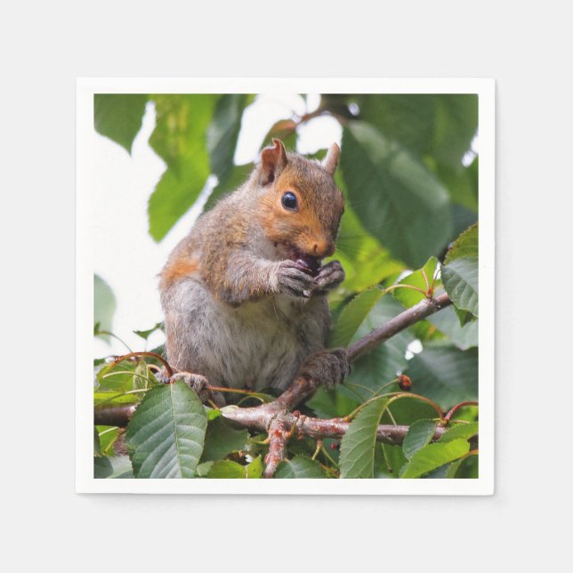 Cute Cherry Picking Eastern Grey Squirrel Napkins (Front)