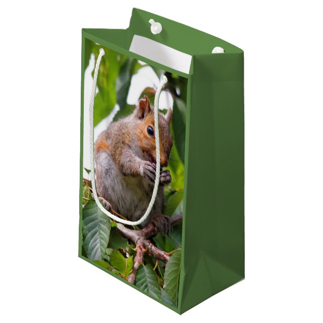 Cute Cherry Picking Eastern Grey Squirrel Small Gift Bag (Front Angled)