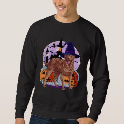 Cute Chesapeake Bay Retriever Halloween Witch Pump Sweatshirt