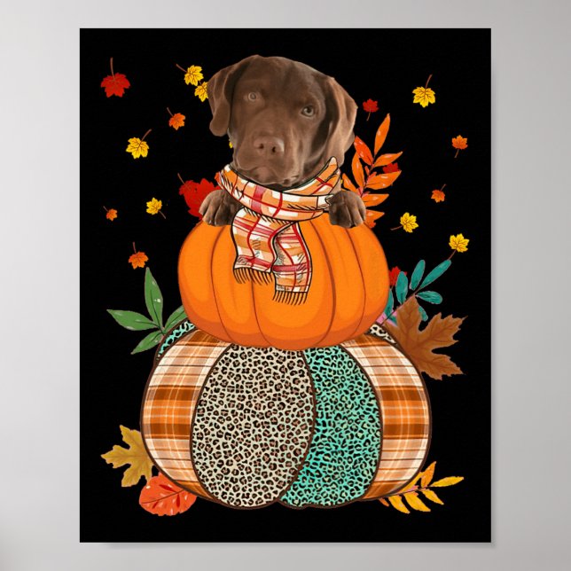 Cute Chesapeake Bay Retriever Pumpkinthanksgiving  Poster (Front)