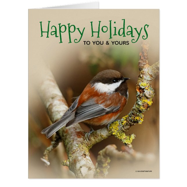 Cute Chestnut-Backed Chickadee Christmas Holiday Cards (Front)