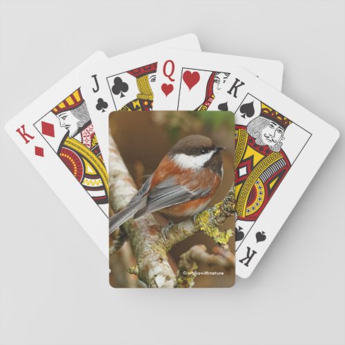 Cute Chestnut_Backed Chickadee in the Pear Tree Poker Cards