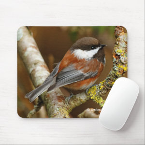 Cute Chestnut-Backed Chickadee on Pear Tree Mouse Pad