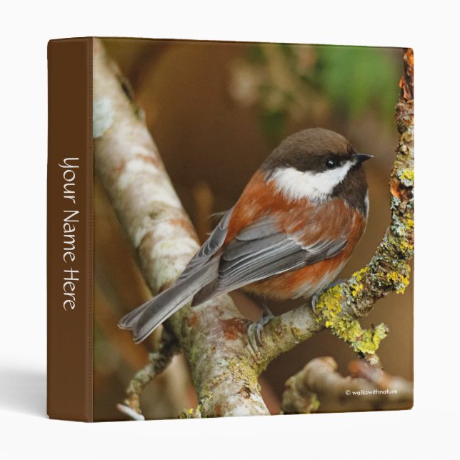 Cute Chestnut-Backed Chickadee on the Pear Tree 3 Ring Binder (Front/Spine)