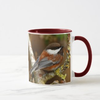 Cute Chestnut-Backed Chickadee on the Pear Tree Mug