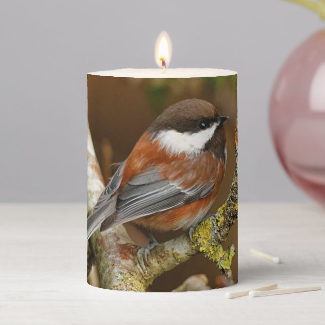 Cute Chestnut-Backed Chickadee on the Pear Tree Pillar Candle (In Situ)